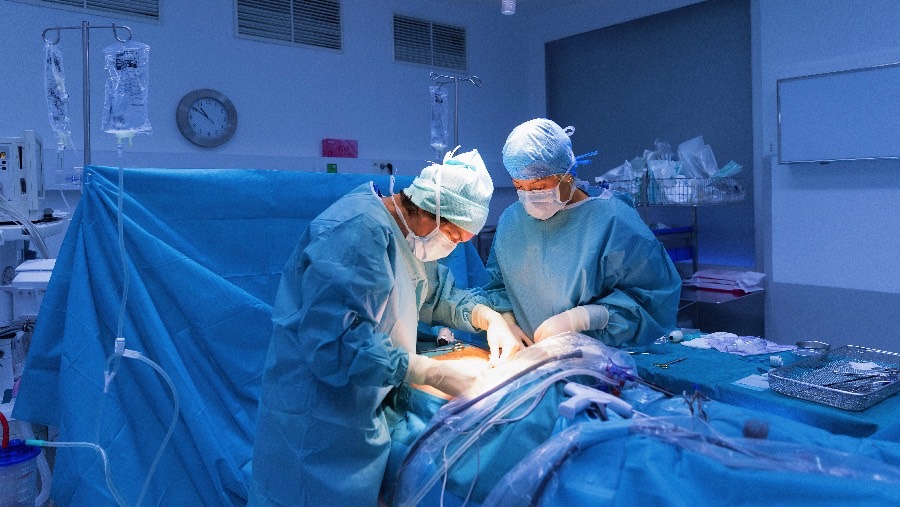 How to Make More Organs Usable for Lifesaving Transplants